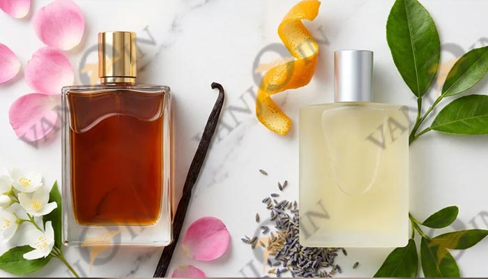 12 Types of Perfume Bottles: Your Guide to Choosing the Right Packaging